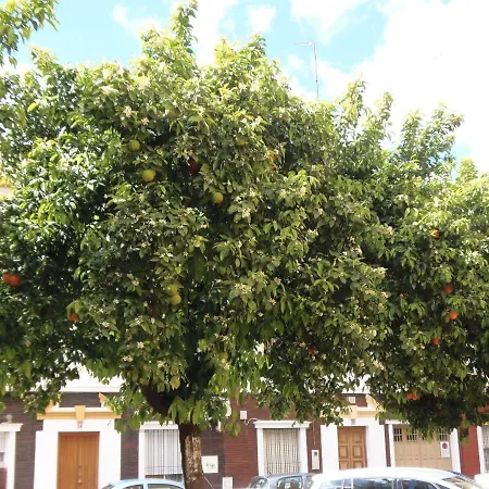 En Triana Siviglia